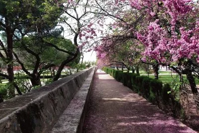 paseo cauce del turia jigsaw puzzle