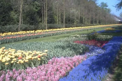 herfstkleuren