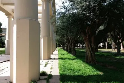 jardines junto al palau de la musica
