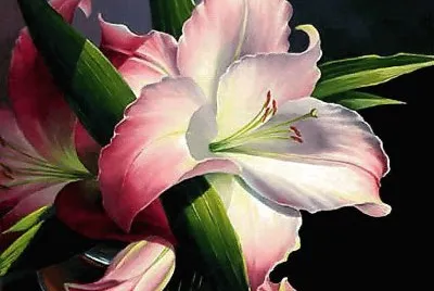flores