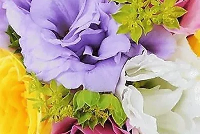 flores