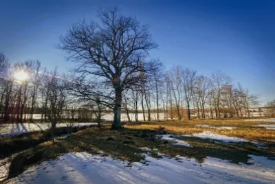 Imagem jigsaw puzzle
