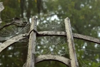 Imagem jigsaw puzzle