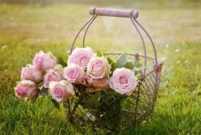 Imagem jigsaw puzzle