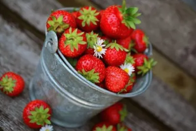 Imagem jigsaw puzzle