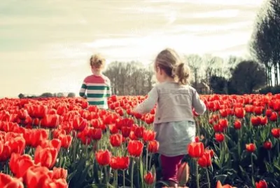 Imagem jigsaw puzzle