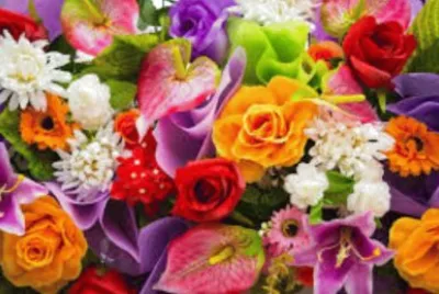 Imagem jigsaw puzzle