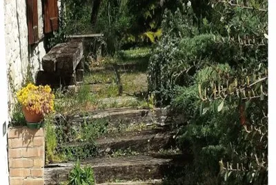 scala a travi