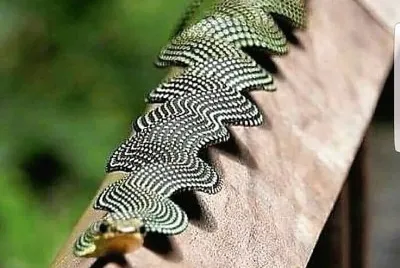 natural