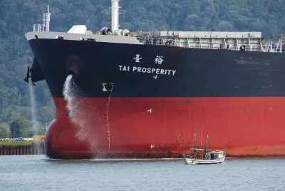tai prosperity jigsaw puzzle