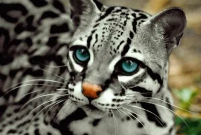 naturaleza