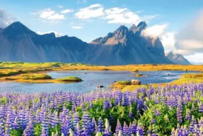 Islande au printemps
