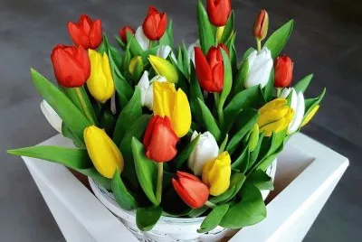 Bunt