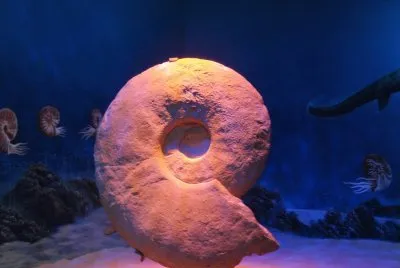 Museo del Desierto en Saltillo, Coahuila.