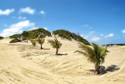 Dunas de Genipabu - BRAZIL jigsaw puzzle