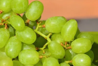 Imagem jigsaw puzzle