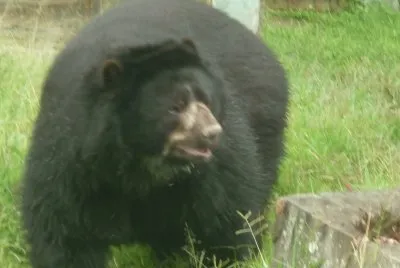 zoolÃ³gico 7