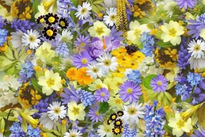 Imagem jigsaw puzzle