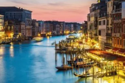 ×•× ×¦×™×”