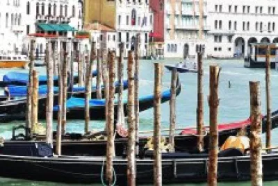 ×•× ×¦×™×”