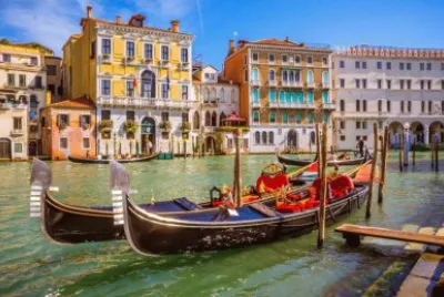 ×•× ×¦×™×”