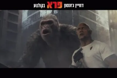 ×“×•×•×™×Ÿ ×’ '× ×¡×•×Ÿ