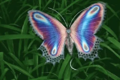 Imagem jigsaw puzzle
