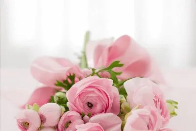 Imagem jigsaw puzzle