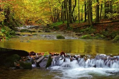 Imagem jigsaw puzzle