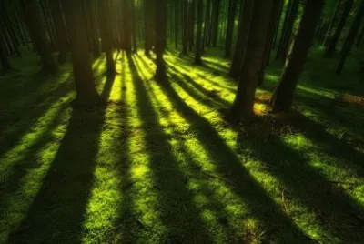 Imagem jigsaw puzzle