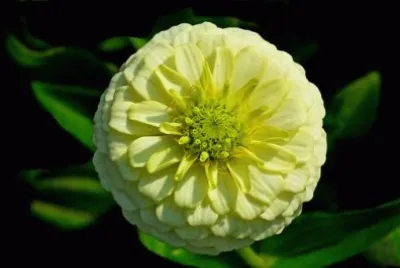 Imagem jigsaw puzzle