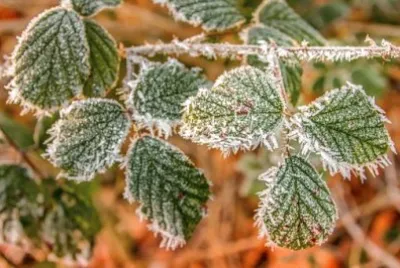 Imagem jigsaw puzzle