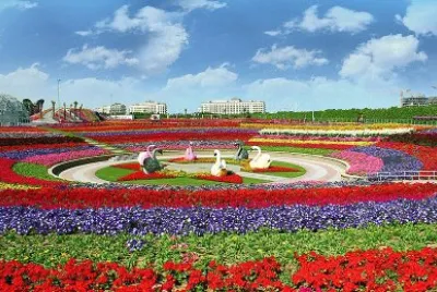 ×¤×¨×—×™×