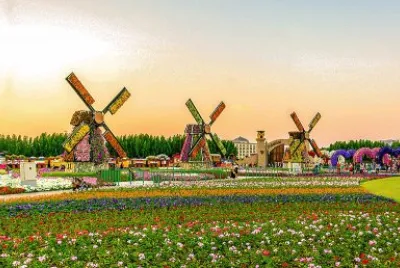 ×¤×¨×—×™×