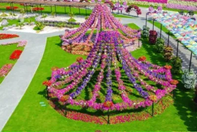 ×¤×¨×—×™×