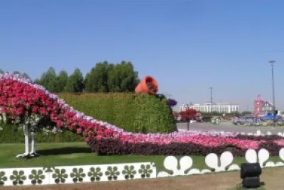 ×¤×¨×—×™×