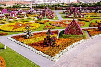 ×¤×¨×—×™×