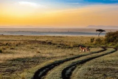 Imagem jigsaw puzzle