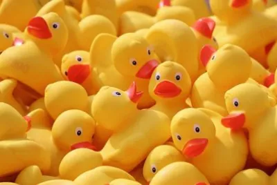 Imagem jigsaw puzzle