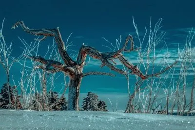 Imagem jigsaw puzzle
