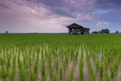 Imagem jigsaw puzzle