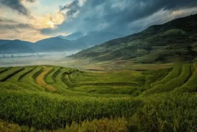 Imagem jigsaw puzzle