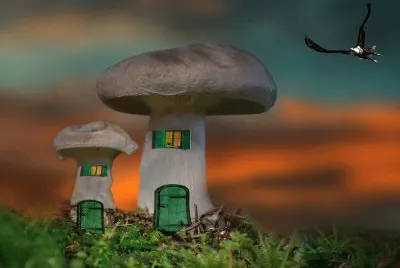Imagem jigsaw puzzle