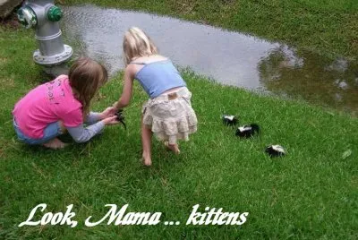 Uh-oh baby skunks