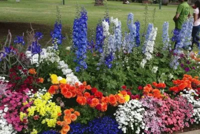 Nature jigsaw puzzle