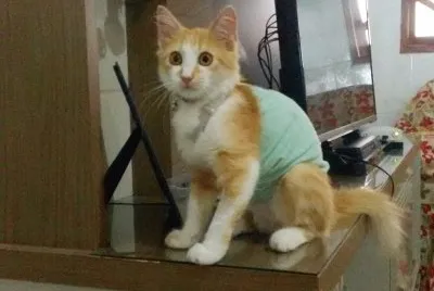 brunobnb