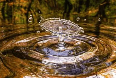 Imagem jigsaw puzzle