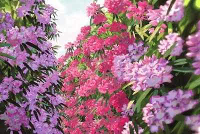 spring #207 jigsaw puzzle