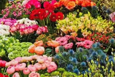 Imagem jigsaw puzzle