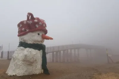 ×©×œ×’ jigsaw puzzle